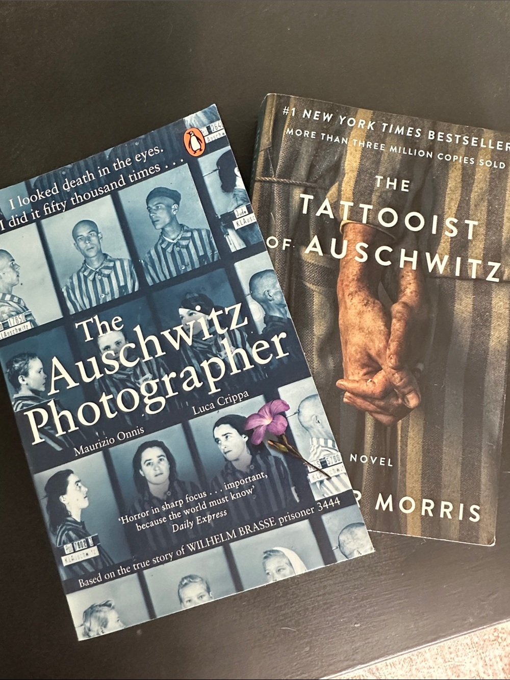 Auschwitz book BUNDLE-VGUC